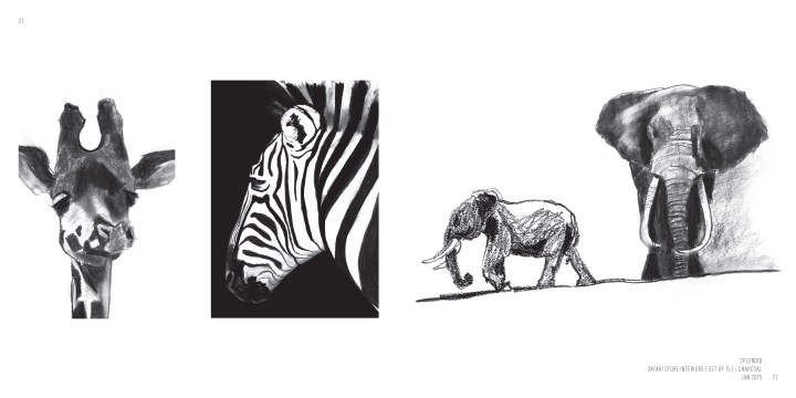 catferraz_2016_portfolio-from_ecuador 11